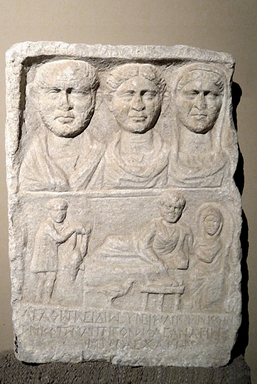 stela3